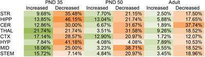 Broad and Region-Specific Impacts of the Synthetic Cannabinoid CP 55,940 in Adolescent and Adult Female Mouse Brains